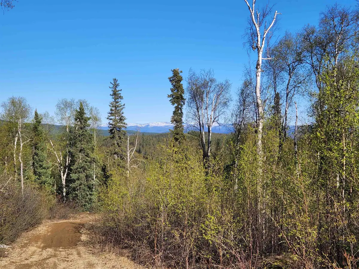 NHN TWO RIVERS ROAD, Badger, AK 99705 - #1