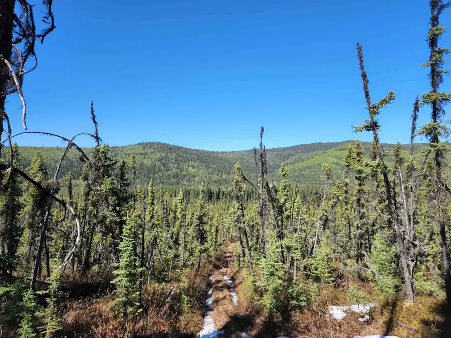 NHN TWO RIVERS ROAD, Badger, AK 99705 - #2
