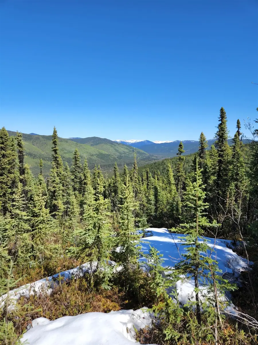 NHN TWO RIVERS ROAD, Badger, AK 99705 - #3