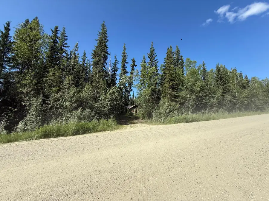 901 SKI BOOT HILL ROAD, Fairbanks, AK 99709 - #2