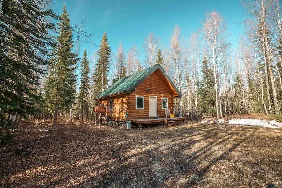 6580 JOHNSON ROAD, Salcha, AK 99714 - #2