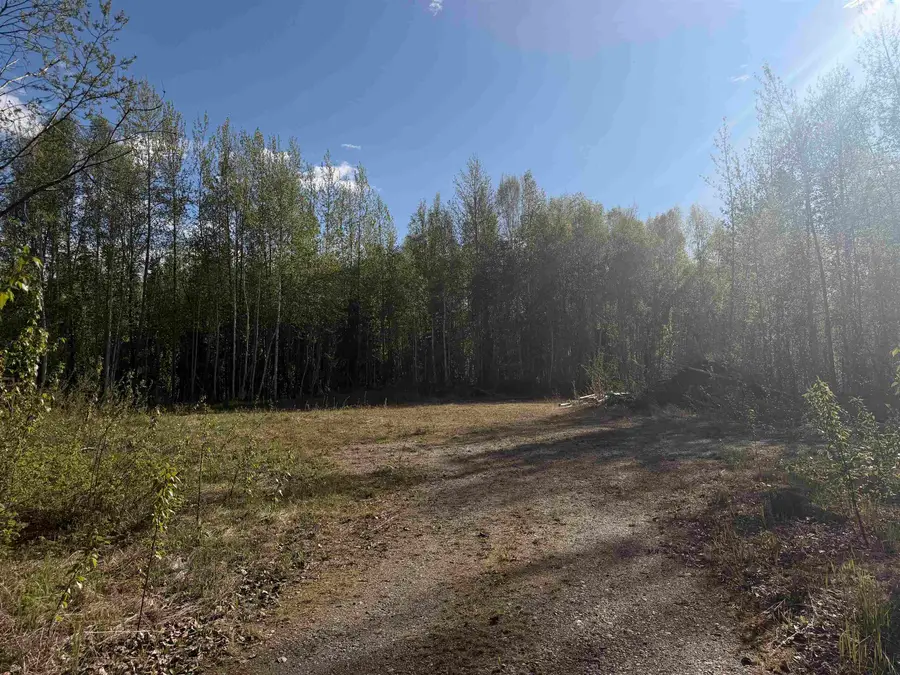 3151 BADGER ROAD, Badger, AK 99705 - #3