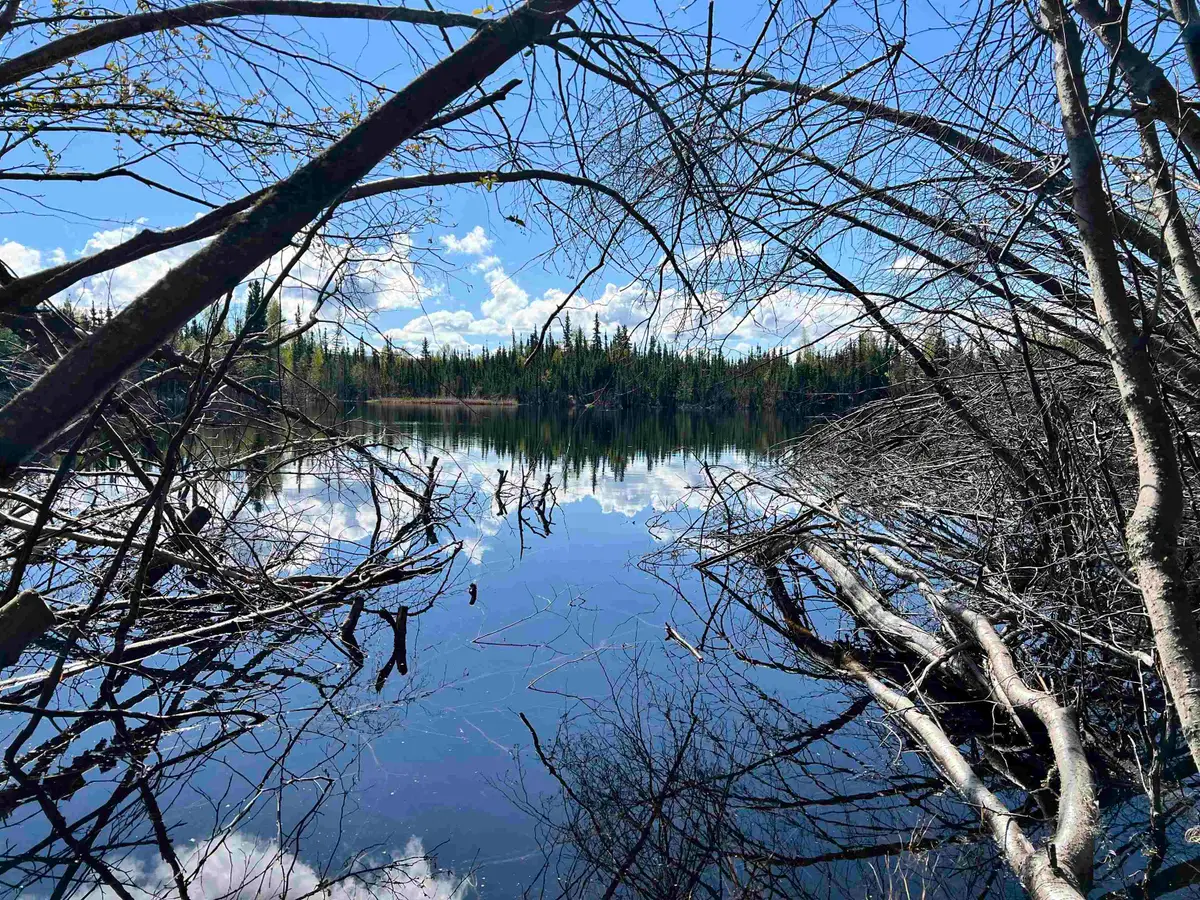 NHN THOREAU DRIVE, Fairbanks, AK 99712 - #1