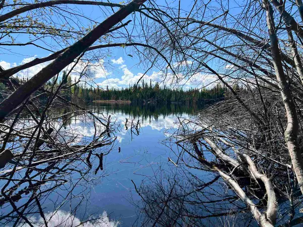 NHN THOREAU DRIVE, Fairbanks, AK 99712