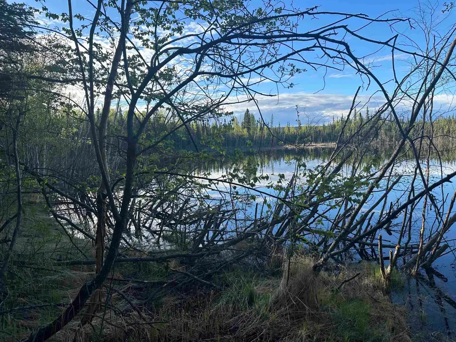NHN THOREAU DRIVE, Fairbanks, AK 99712 - #2