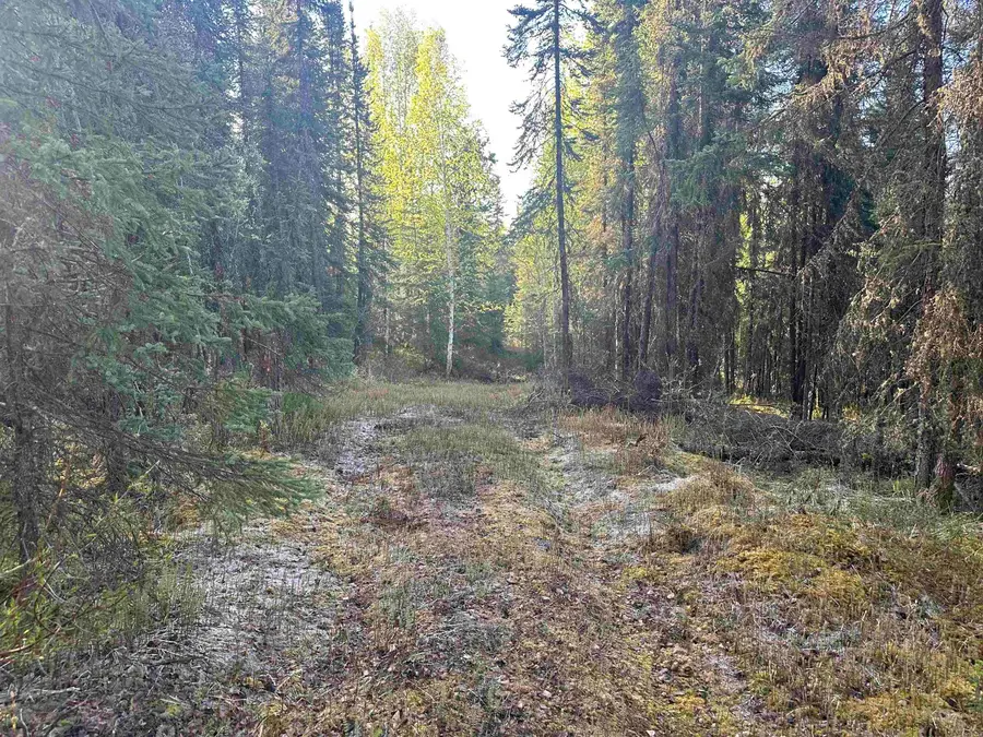 NHN THOREAU DRIVE, Fairbanks, AK 99712 - #3