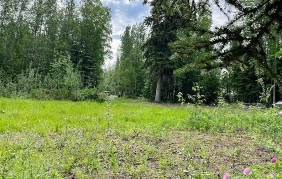 2045 MY COURT, North Pole, AK 99705 - #3