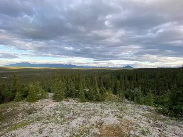 NHN Ft. Greely Ridge Road, Delta Junction, AK 99737