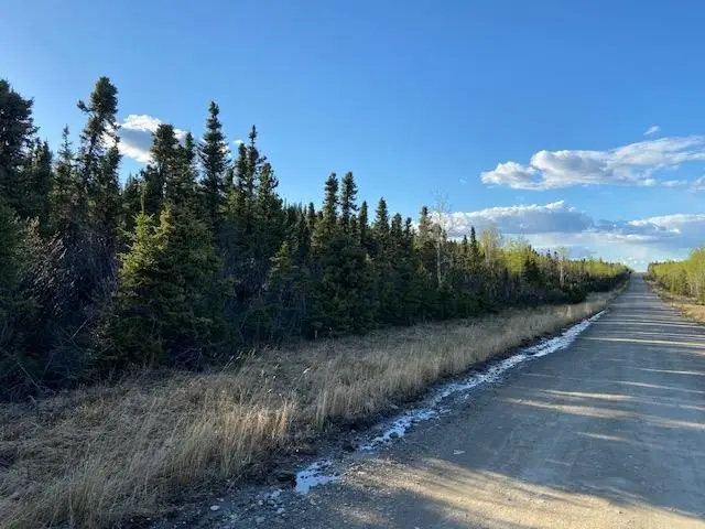 NHN Ft. Greely Ridge Road, Delta Junction, AK 99737 - #2