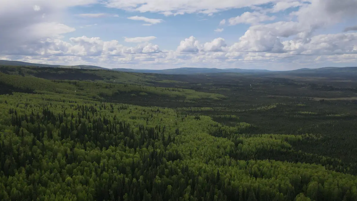 NHN ESTER DRIVE, Fairbanks, AK 99709 - #1