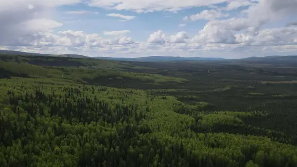 NHN ESTER DRIVE, Fairbanks, AK 99709