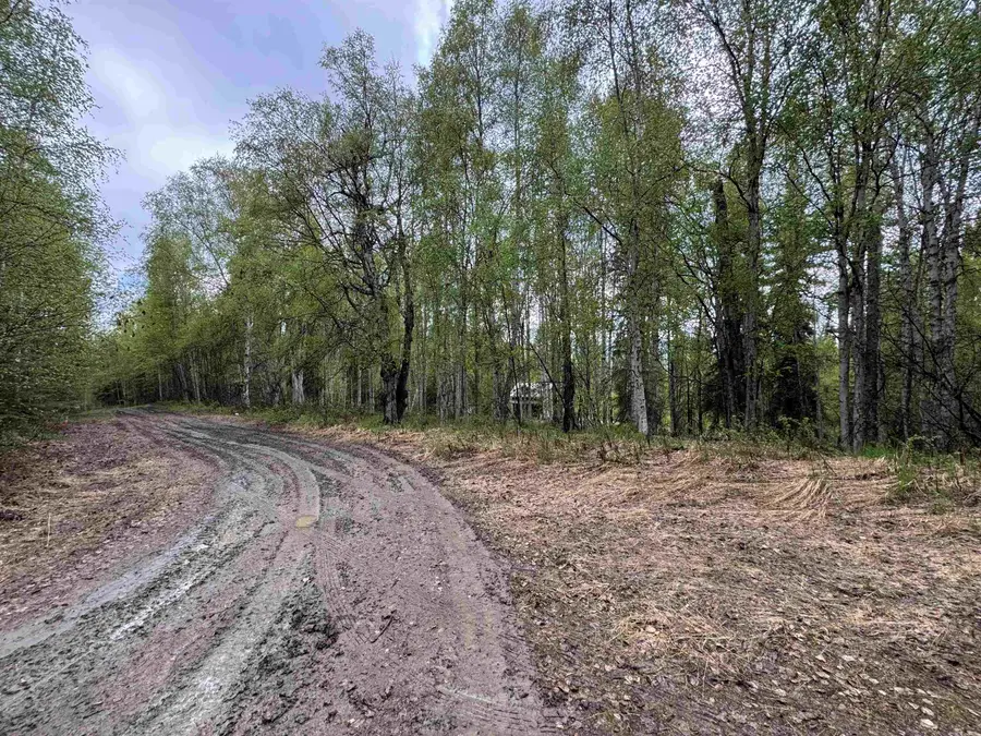 NHN ESTER DRIVE, Fairbanks, AK 99709 - #2