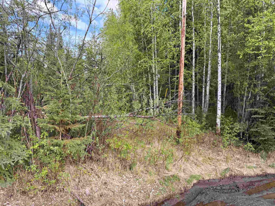 278 NARROW VIEW LANE, Fairbanks, AK 99705 - #2