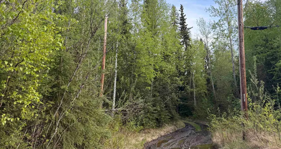 278 NARROW VIEW LANE, Fairbanks, AK 99705 - #3