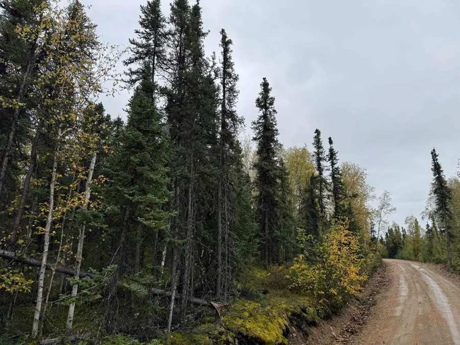 NHN OLNES LOOP ROAD, Fairbanks, AK 99712 - #3