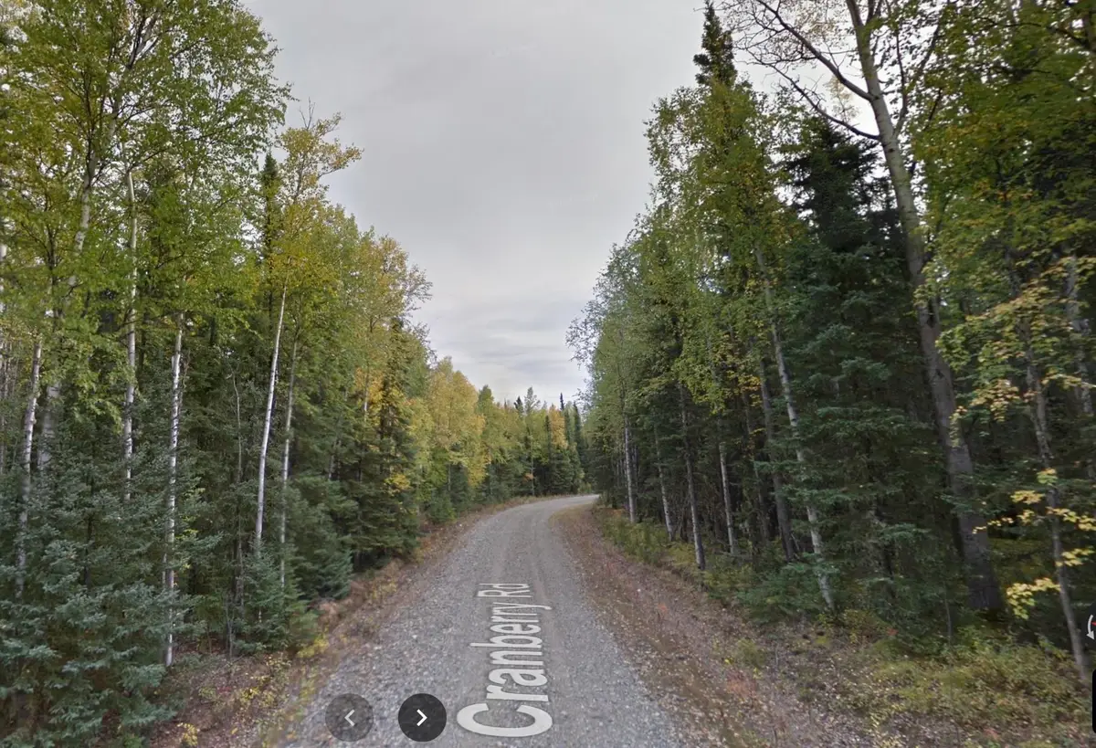 L44 EAST CRANBERRY ROAD, Delta Junction, AK 99737 - #1