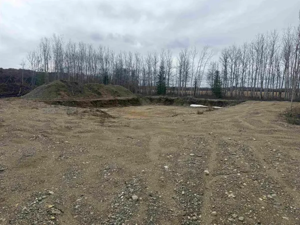 nhn ANGELA DRIVE, Delta Junction, AK 99737