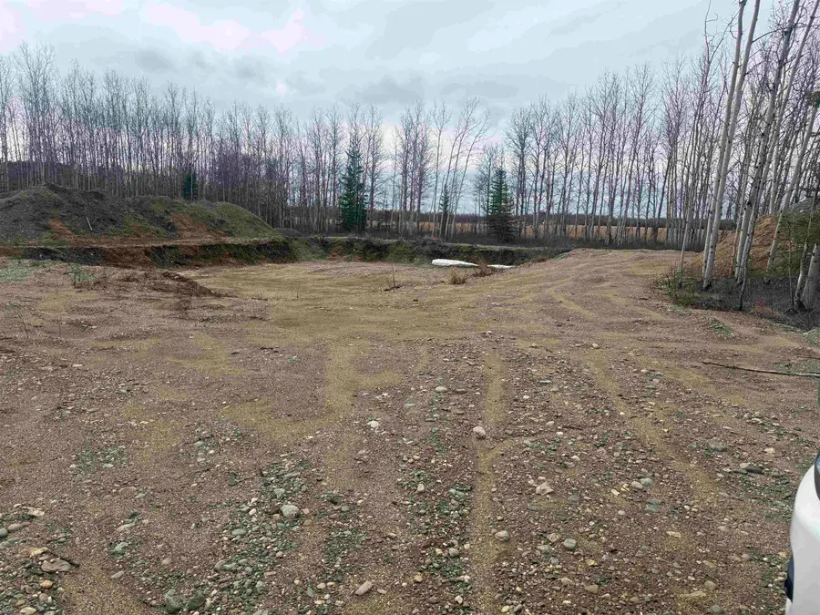 nhn ANGELA DRIVE, Delta Junction, AK 99737 - #2