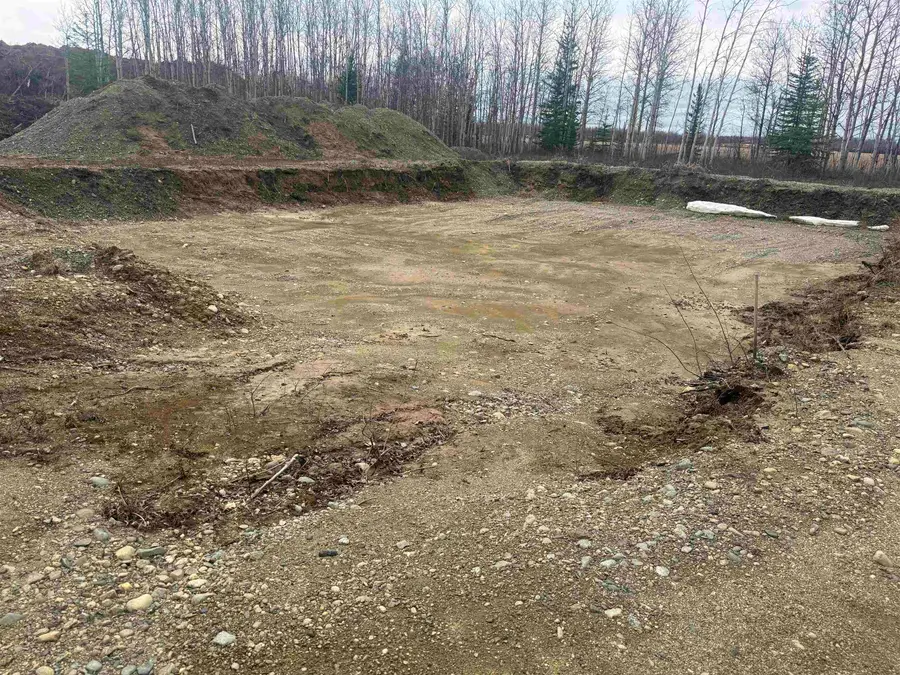 nhn ANGELA DRIVE, Delta Junction, AK 99737 - #3