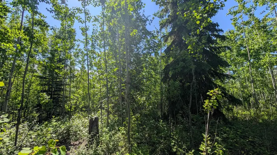 1356 SHUROS DRIVE, Fairbanks, AK 99709 - #3