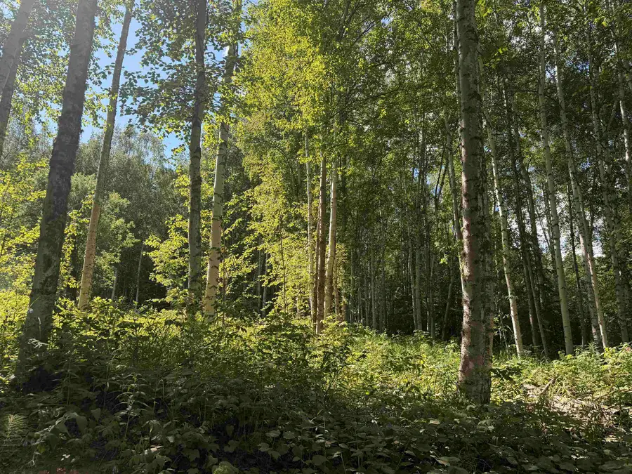 2329 CRIPPLE CREEK ROAD, Fairbanks, AK 99709 - #2