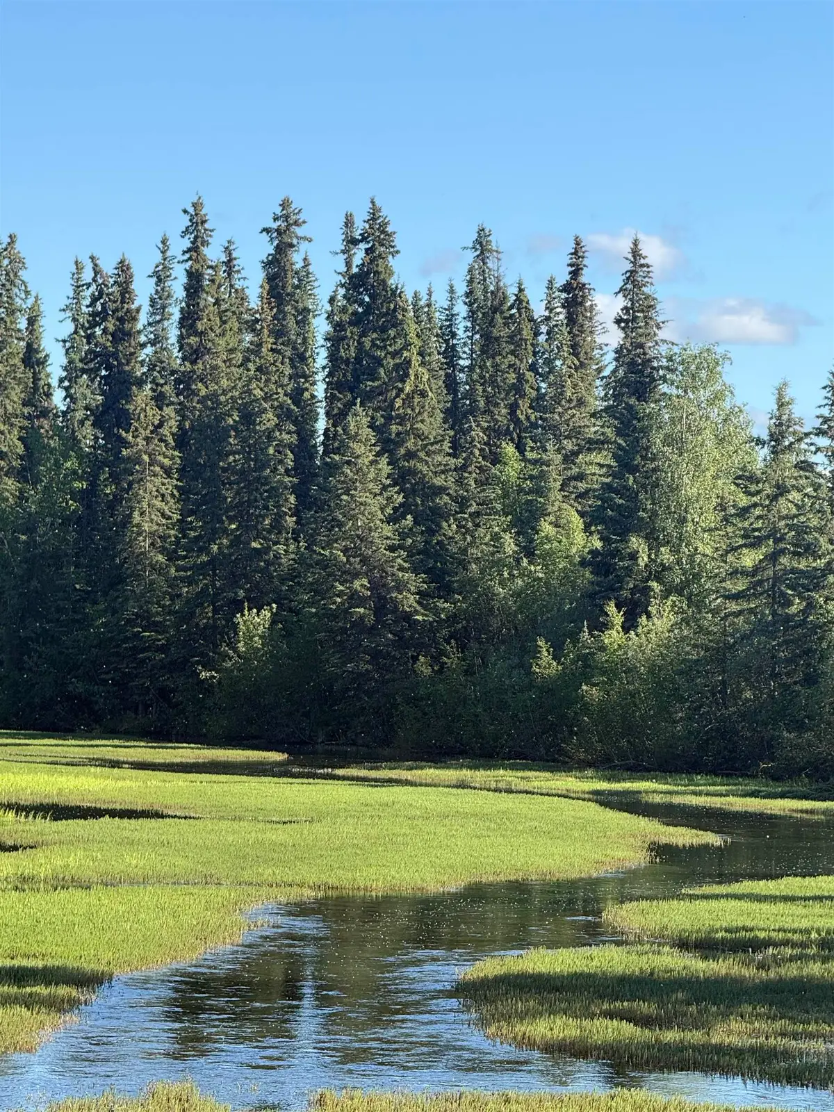2020 HAYDON COURT, North Pole, AK 99705 - #1