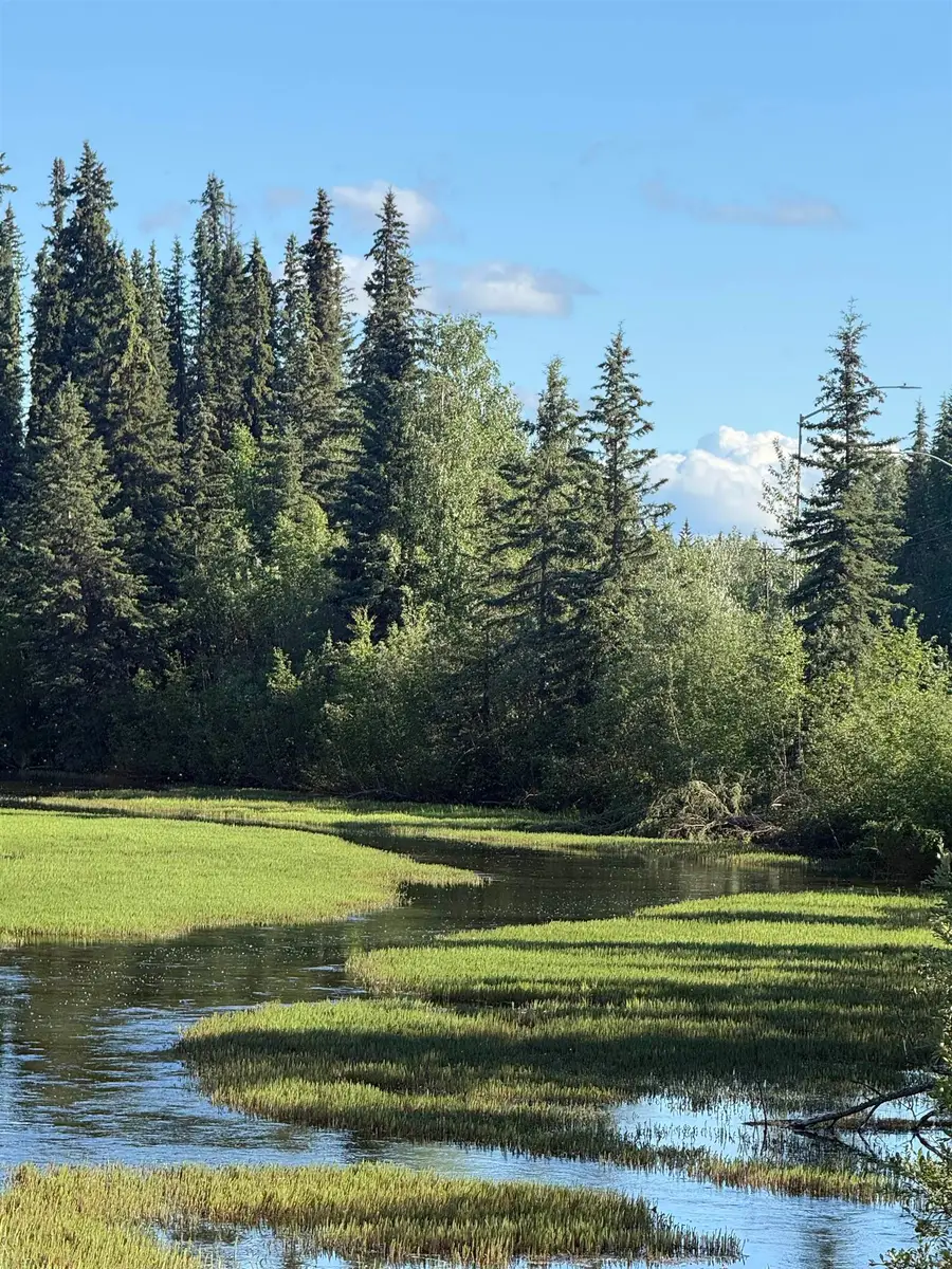 2020 HAYDON COURT, North Pole, AK 99705 - #2