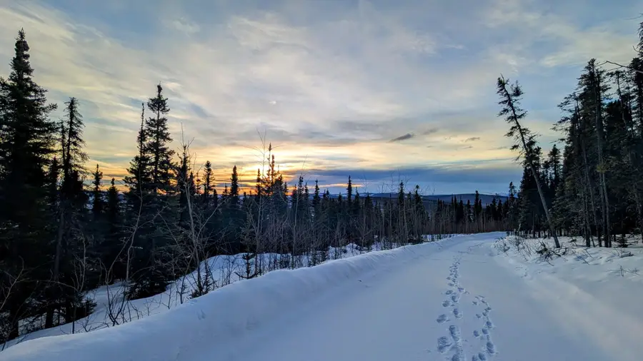 334 OLNES LOOP ROAD, Fairbanks, AK 99712 - #3