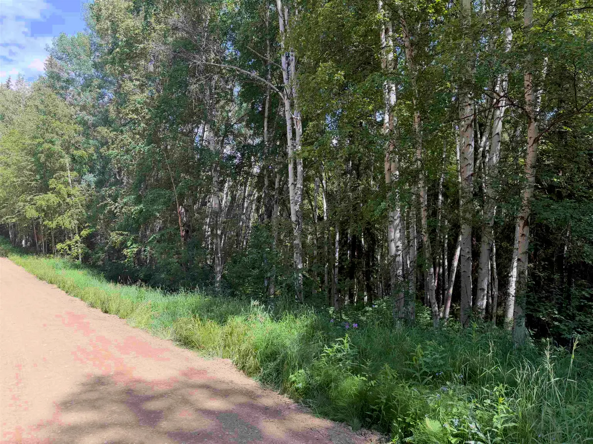 NHN EMMA WAY, Fairbanks, AK 99709 - #1