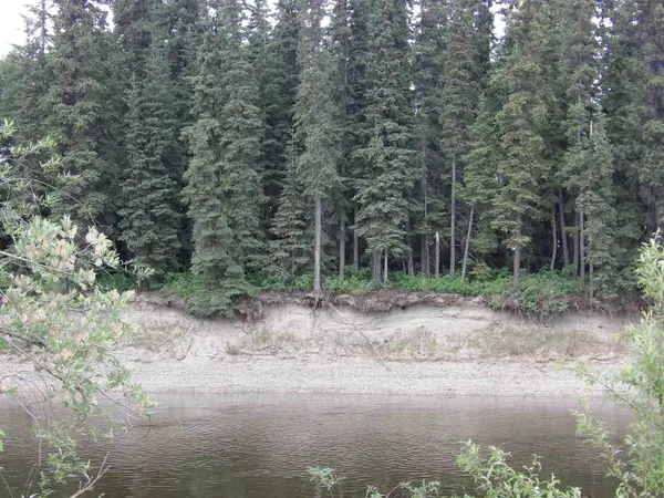 NHN CHENA LANDINGS LOOP ROAD, FAIRBANKS, AK 99701