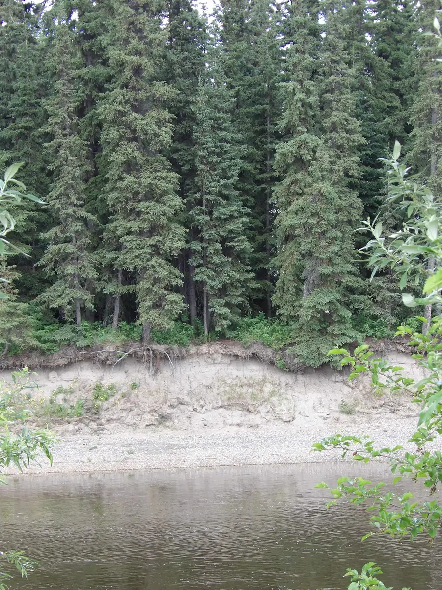 NHN CHENA LANDINGS LOOP ROAD, Fairbanks, AK 99701 - #2