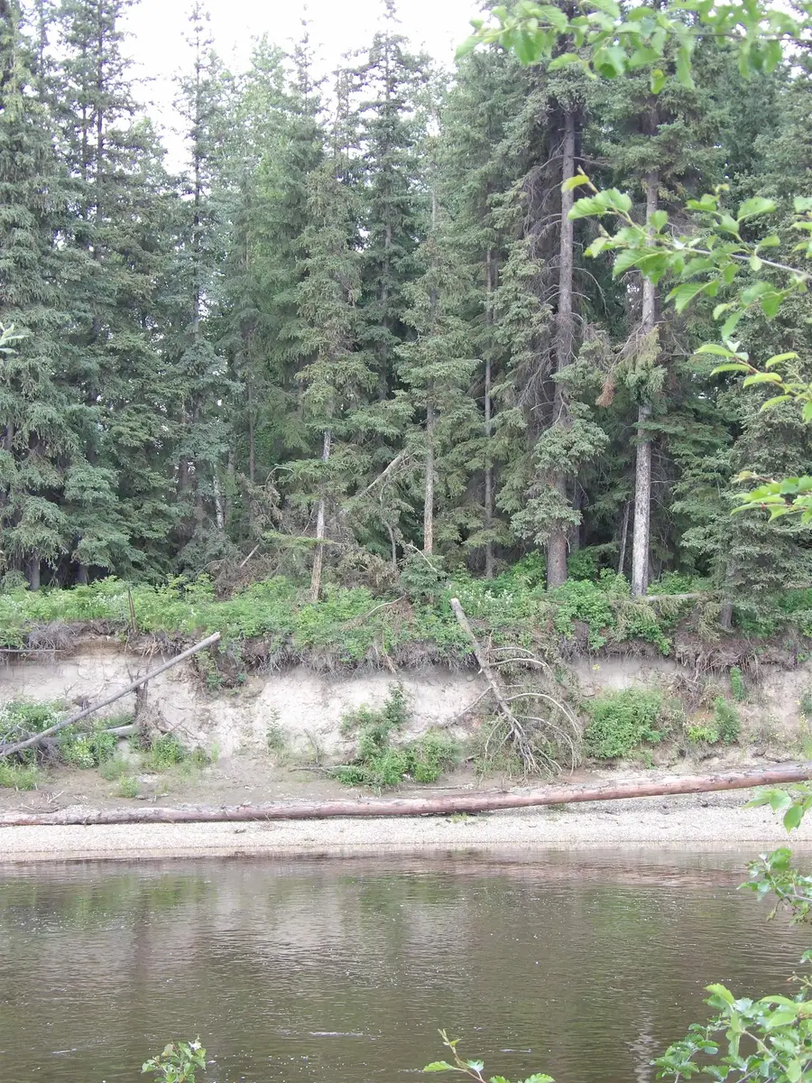 NHN CHENA LANDINGS LOOP ROAD, Fairbanks, AK 99701 - #3