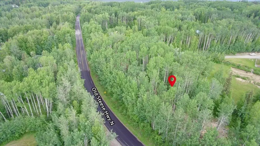 1076 OLD STEESE HIGHWAY N, Fairbanks, AK 99712 - #2