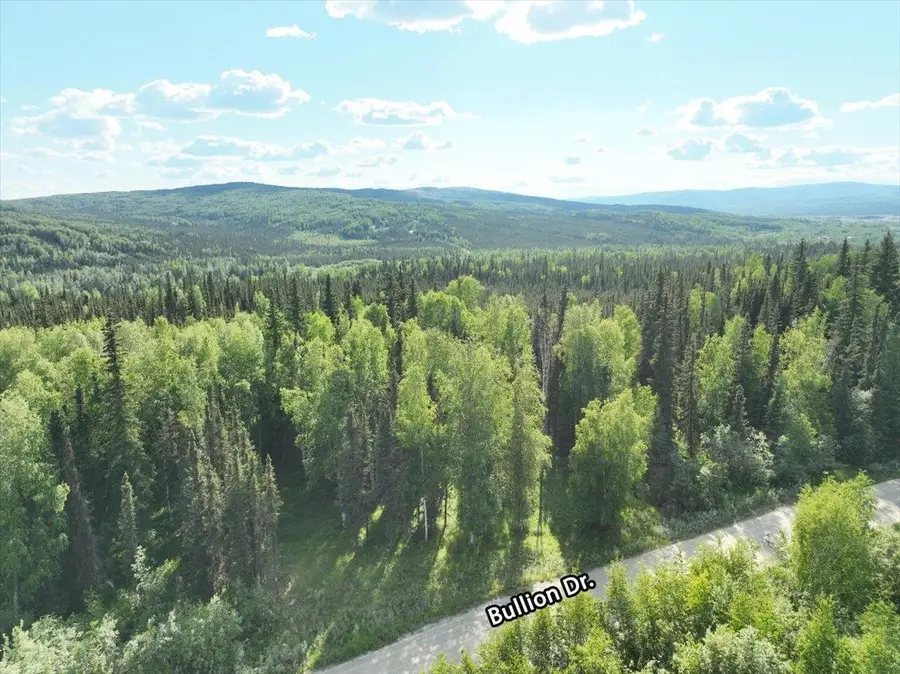297 BULLION DRIVE, Fairbanks, AK 99712 - #2