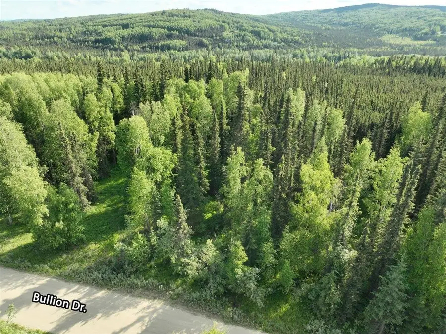297 BULLION DRIVE, Fairbanks, AK 99712 - #3