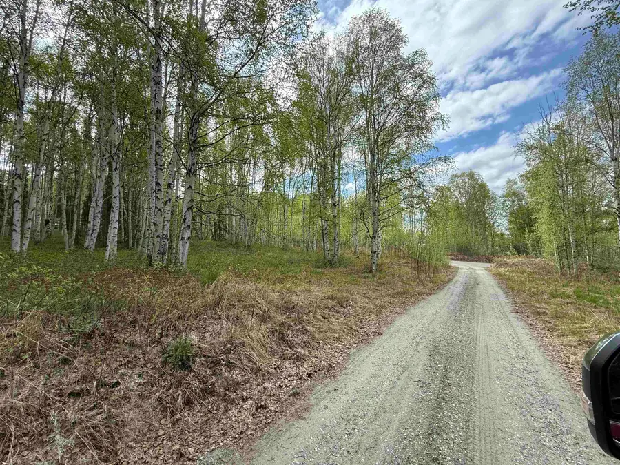 NHN WYLIE LANE, Fairbanks, AK 99712 - #2