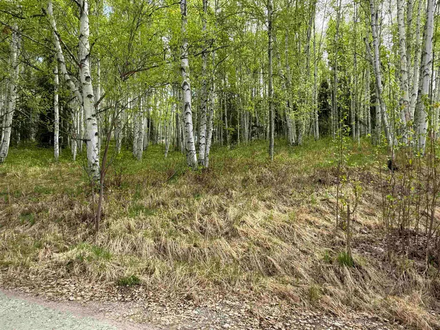 NHN WYLIE LANE, Fairbanks, AK 99712 - #3