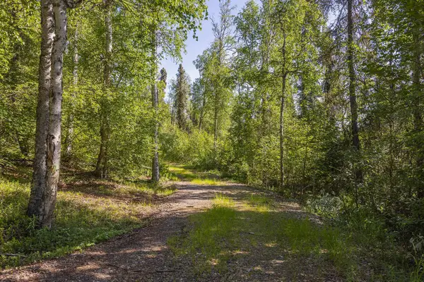 2048 PINE CONE LANE, FAIRBANKS, AK 99709