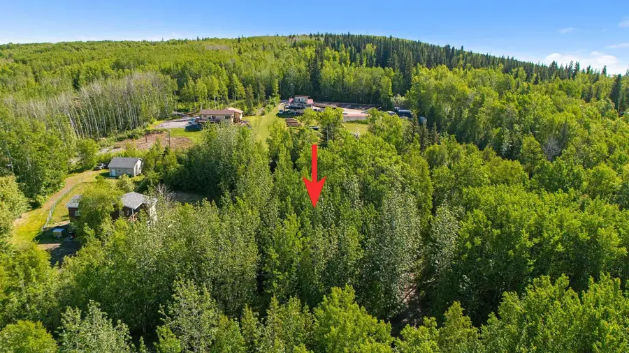 NHN GRUENING WAY, Fairbanks, AK 99712 - #2