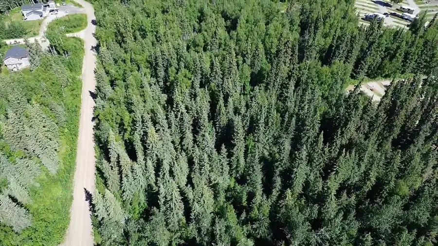 Lot 40 MAUDE BOYLE DRIVE, North Pole, AK 99705 - #2