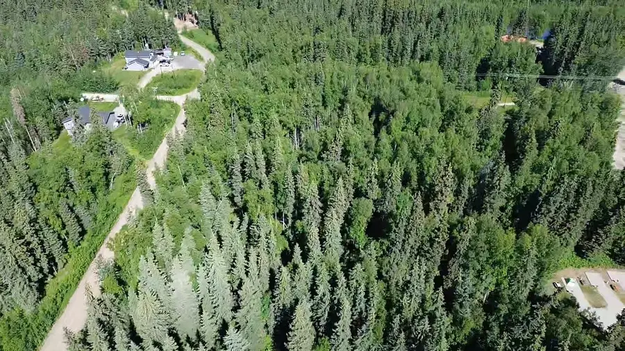 Lot 40 MAUDE BOYLE DRIVE, North Pole, AK 99705 - #3