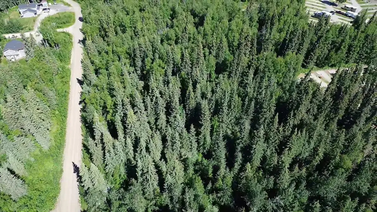 Lot 41 MAUDE BOYLE DRIVE, North Pole, AK 99705 - #1