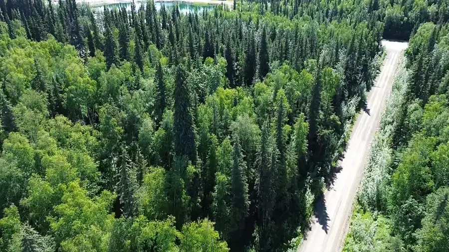 Lot 41 MAUDE BOYLE DRIVE, North Pole, AK 99705 - #2