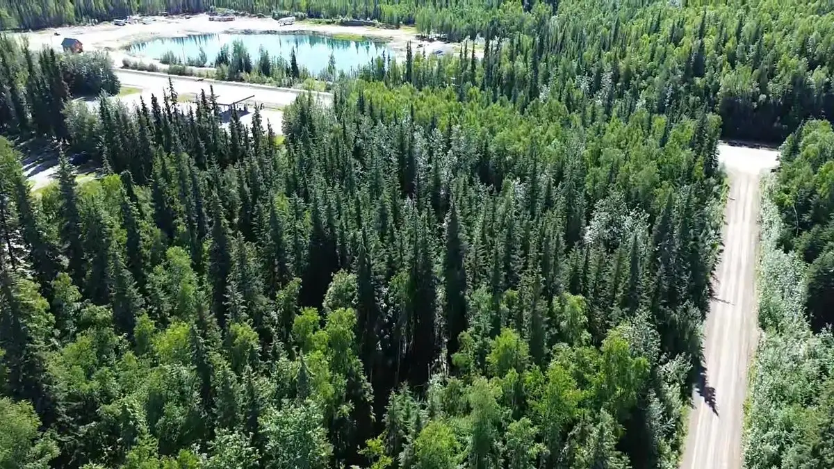 Lot 42 MAUDE BOYLE DRIVE, North Pole, AK 99705 - #1