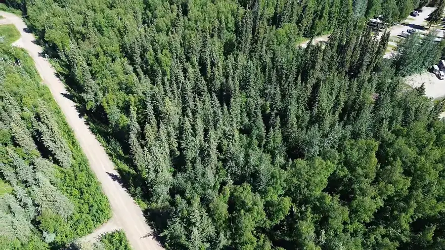 Lot 42 MAUDE BOYLE DRIVE, North Pole, AK 99705 - #3