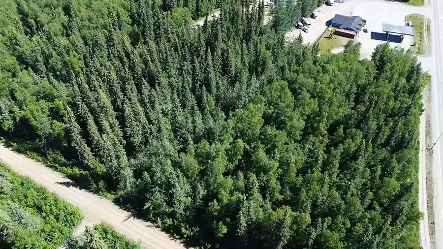 Lot 44 MAUDE BOYLE DRIVE, North Pole, AK 99705 - #2