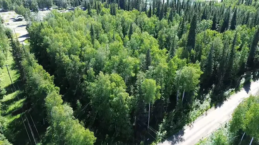 Lot 39 MAUDE BOYLE DRIVE, North Pole, AK 99705 - #3