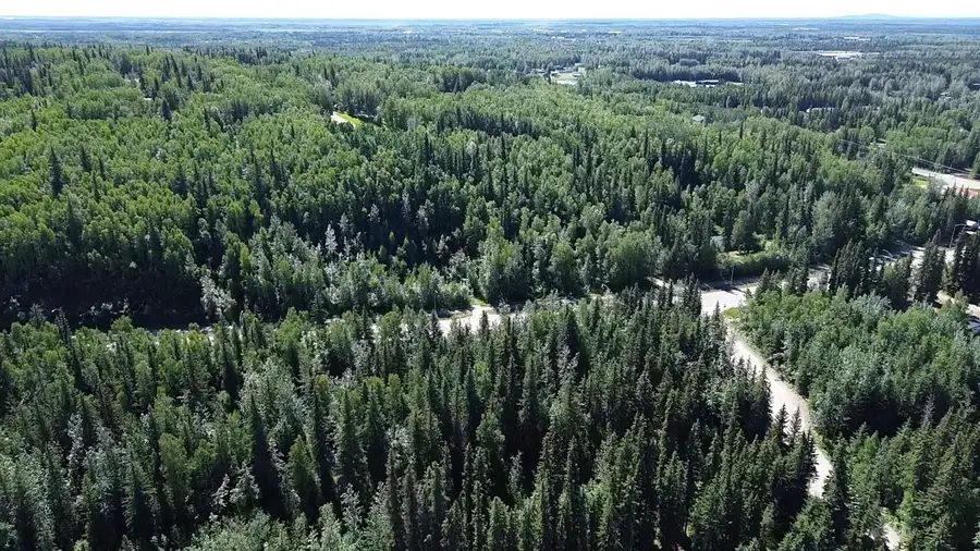 Lot 1 MAUDE BOYLE DRIVE, North Pole, AK 99705 - #2