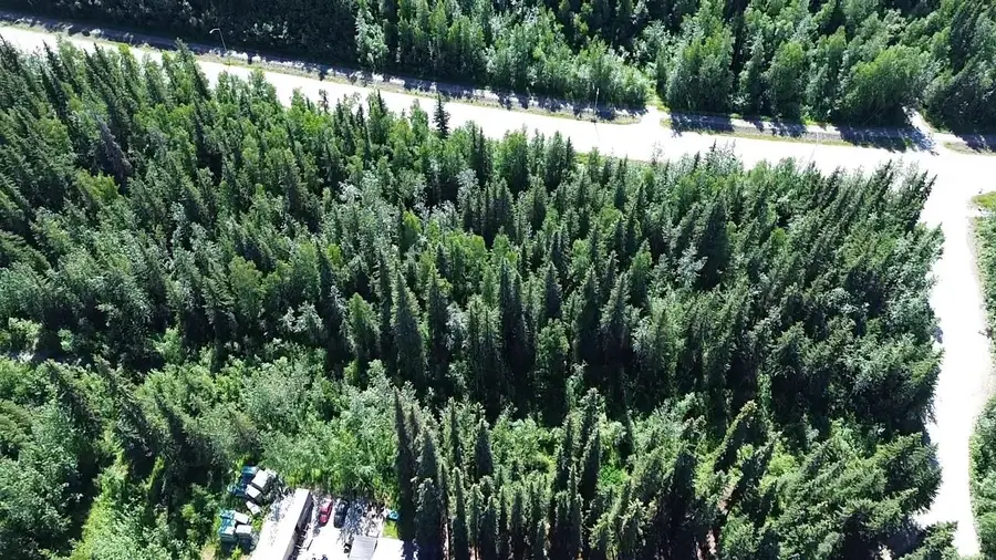 Lot 1 MAUDE BOYLE DRIVE, North Pole, AK 99705 - #3