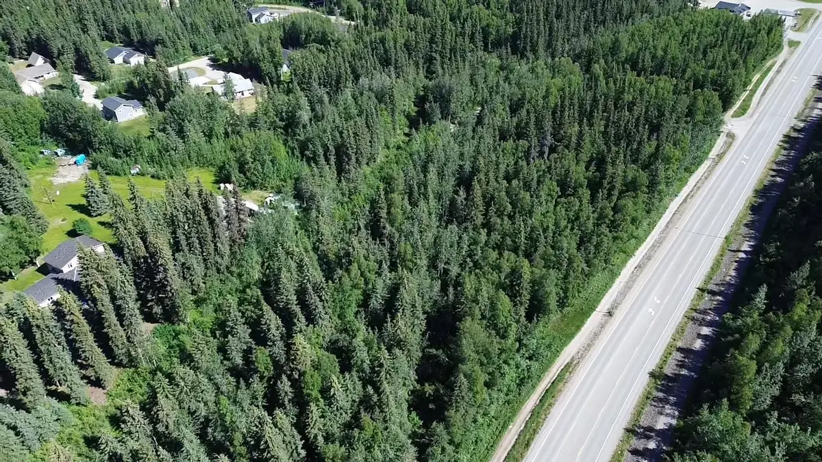 Lot 2 MAUDE BOYLE DRIVE, North Pole, AK 99705 - #1